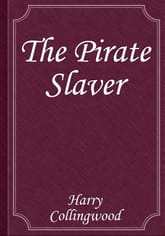 The Pirate Slaver 표지 이미지