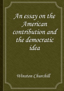 An essay on the American contribution and the democratic idea
