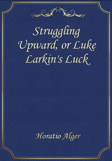 Struggling Upward, or Luke Larkin's Luck