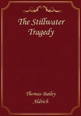 The Stillwater Tragedy 표지 이미지