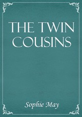 The Twin Cousins 표지 이미지