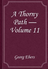 A Thorny Path — Volume 11 표지 이미지