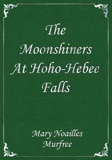 The Moonshiners At Hoho-Hebee Falls