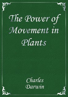 The Power of Movement in Plants