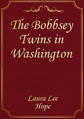 The Bobbsey Twins in Washington 표지 이미지