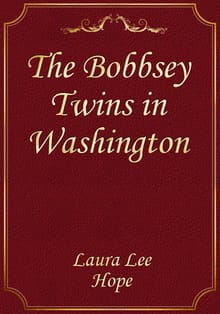 The Bobbsey Twins in Washington