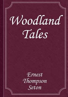 Woodland Tales