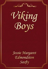 Viking Boys 표지 이미지