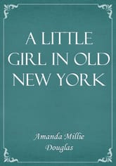 A Little Girl in Old New York 표지 이미지
