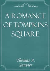 A Romance Of Tompkins Square 표지 이미지