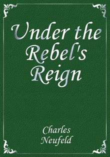 Under the Rebel's Reign