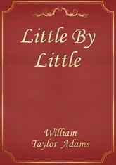 Little By Little 표지 이미지