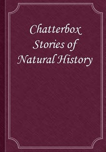 Chatterbox Stories of Natural History