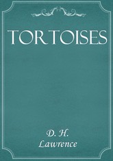 Tortoises 표지 이미지