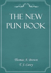 The New Pun Book 표지 이미지