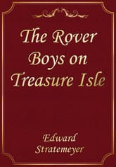The Rover Boys on Treasure Isle 표지 이미지