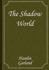 The Shadow World 표지 이미지