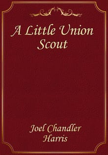 A Little Union Scout