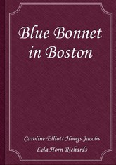 Blue Bonnet in Boston 표지 이미지