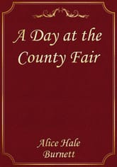 A Day at the County Fair 표지 이미지