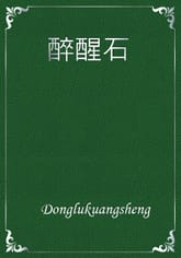 醉醒石 표지 이미지