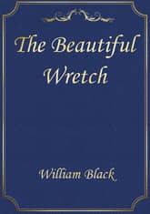 The Beautiful Wretch 표지 이미지