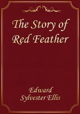 The Story of Red Feather 표지 이미지