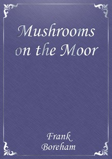 Mushrooms on the Moor