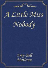 A Little Miss Nobody 표지 이미지