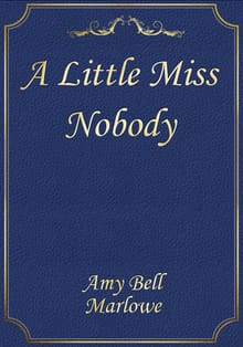 A Little Miss Nobody