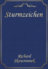 Sturmzeichen 표지 이미지