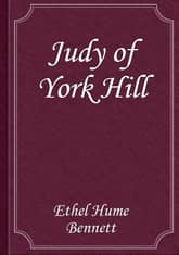 Judy of York Hill 표지 이미지