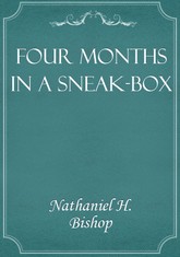 Four Months in a Sneak-Box 표지 이미지