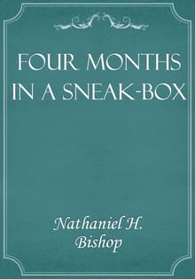 Four Months in a Sneak-Box