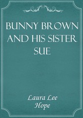 Bunny Brown and His Sister Sue 표지 이미지