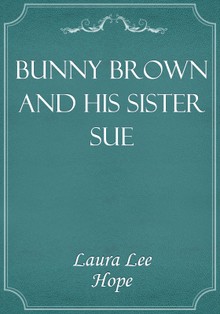 Bunny Brown and His Sister Sue