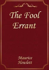 The Fool Errant 표지 이미지