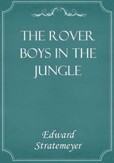 The Rover Boys in the Jungle 표지 이미지