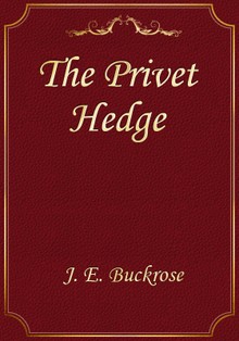 The Privet Hedge