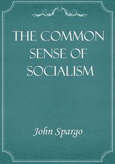 The Common Sense of Socialism 표지 이미지