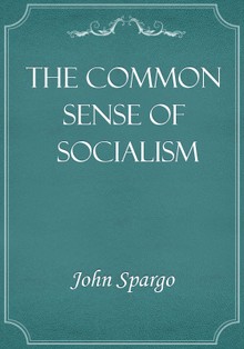The Common Sense of Socialism