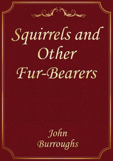 Squirrels and Other Fur-Bearers