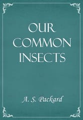 Our Common Insects 표지 이미지