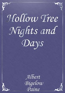 Hollow Tree Nights and Days