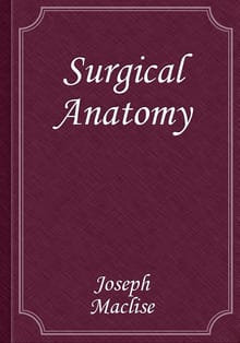 Surgical Anatomy