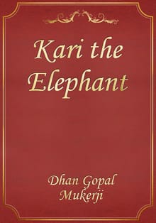 Kari the Elephant