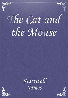 The Cat and the Mouse