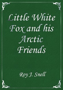 Little White Fox and his Arctic Friends