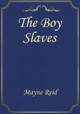 The Boy Slaves 표지 이미지