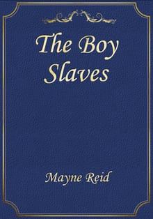The Boy Slaves